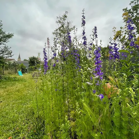 Maison De Campagne *