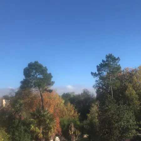 Tatil Evi Maison De Campagne Barbaste