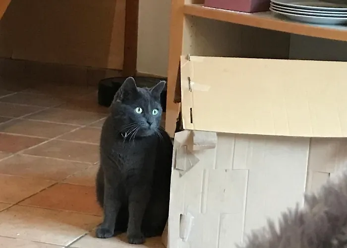 Hébergement de vacances Maison de campagne