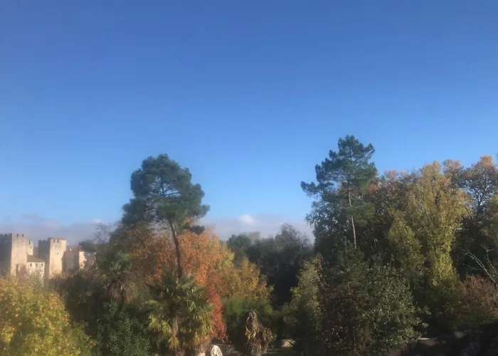 Hébergement de vacances Maison de campagne Barbaste